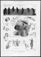 1895 antique print d'occasion  Expédié en Belgium