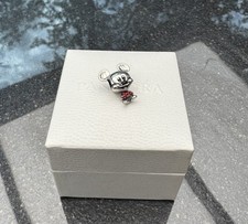 Charm anhänger silber gebraucht kaufen  Hameln