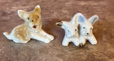 Set terrier puppy for sale  Indianapolis