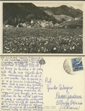 Selva bolzano panorama usato Selva bolzano panorama usato  Monte di Procida