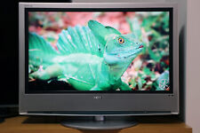 Monitor sony bravia usato  Villamagna