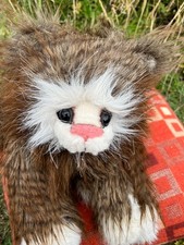 Kaycee bears cat for sale  EMSWORTH