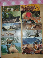 Cartes merveilles nestlé d'occasion  Saint-Vallier