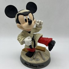 Walt disney karate for sale  Destrehan
