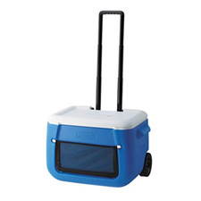 Coleman poly lite usato  Roccagloriosa