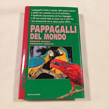 Pappagalli del massa usato  Collazzone
