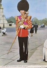 Drum major grenadier for sale  DUNDEE