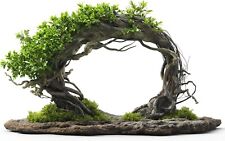 Willow arch bonsai for sale  Chariton