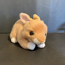 ty beanie gebraucht kaufen  Hochheim am Main