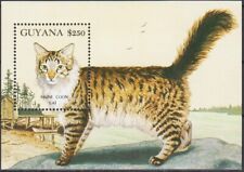 Guyane 1992 maine d'occasion  Expédié en France