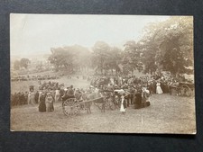 Horse race north for sale  WORKINGTON