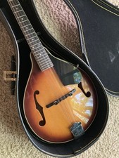 Washburn mandolin hard for sale  Apex