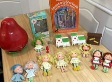 Strawberry shortcake vintage for sale  Boise
