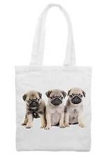 Pug puppies shoulder for sale  LANCASTER