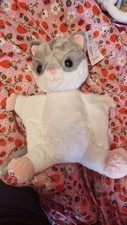 sugar gliders for sale sugar gliders for sale EASTLEIGH