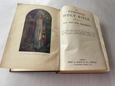 Illustrated holy bible for sale  CARDIFF