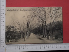 Cartolina postale amelia usato  Roma