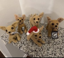 Taco bell dogs for sale  Minneapolis
