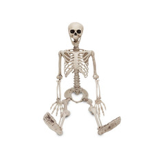 Skelett halloween beweglich gebraucht kaufen  Versand nach Germany