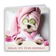 Pampered westie birthday for sale  SPILSBY
