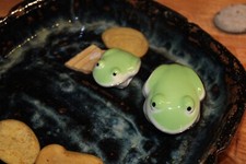 2er set frosch gebraucht kaufen  Wurmannsquick
