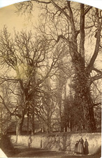 Angleterre parc vintage d'occasion  Pagny-sur-Moselle