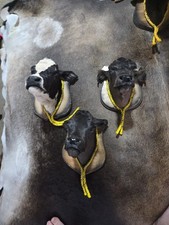 Unique calf head for sale  Smyrna
