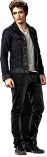 Edward cullen twilight for sale  Melville