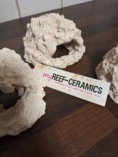 Riffhöhle loch reef gebraucht kaufen  Gröditz