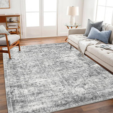 Champlant area rug for sale  Brentwood