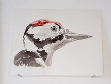 Pic épeichette aquarelle d'occasion  Bouaye