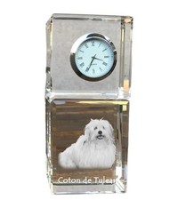 Coton tulear crystal d'occasion  Expédié en Belgium