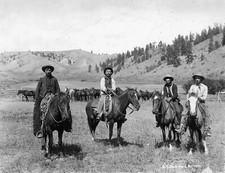 Cowboys cattle drive for sale  USA
