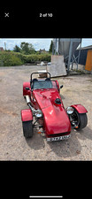 Tiger cat for sale  SWINDON