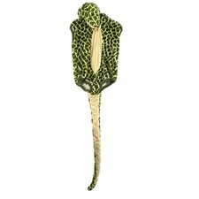 Chosun int lizard for sale  Bremerton