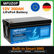 12v 300ah lithium gebraucht kaufen  Euskirchen