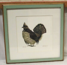 Ruffed grouse original for sale  Mio