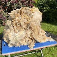 7.5kg 16lb raw for sale  WIGTON