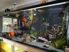 6ft 2ft 2.5 for sale  WORTHING