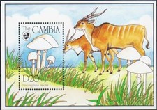 Gambia 1994 funghi usato  Italia