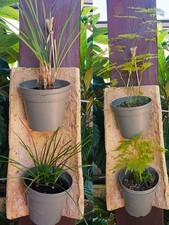 Antica tegola con usato  Marsala