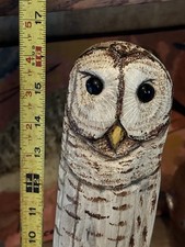 owl driftwood for sale owl driftwood for sale North Augusta