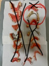 Gebiss dental zahnersatz gebraucht kaufen  Saarbrücken