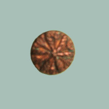 Bouton ancien, 1900 , 18 mm,  cuivre gravé comprar usado  Enviando para Brazil