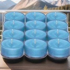 Partylite blueberry lemonade gebraucht kaufen  Deutschland