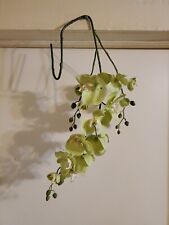 Orchid stem green for sale  Ulysses