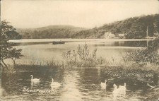 Shearwater lake wilkinson for sale  ROSSENDALE