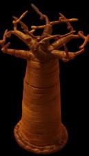 African baobab tree for sale  Old Town
