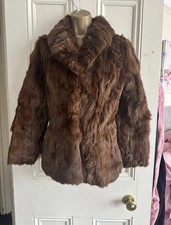 Chocolate brown rabbit for sale  PURLEY
