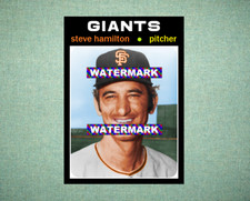 Steve hamilton san for sale  Houston